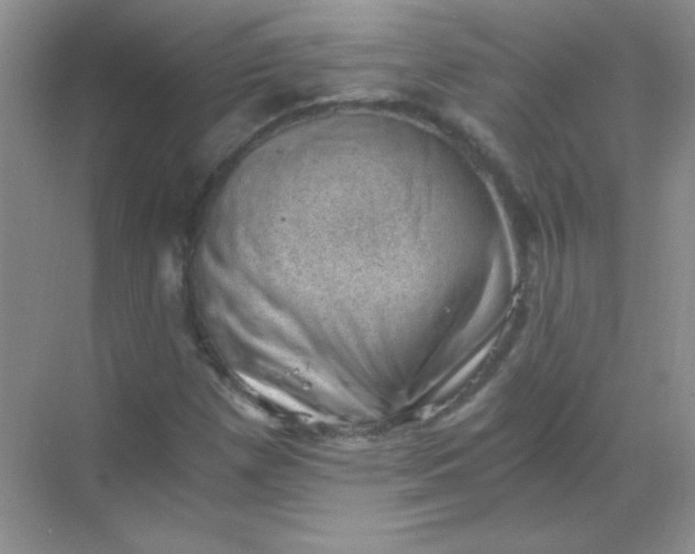 X0000068851257200605191942