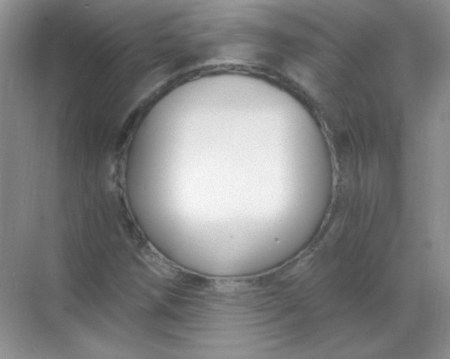 X0000068851258200605191942