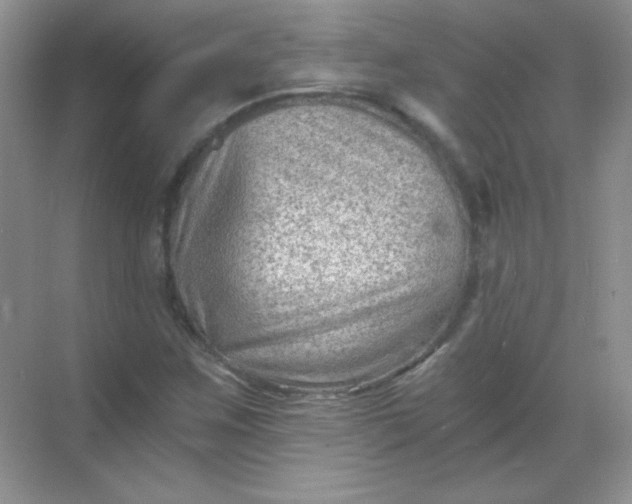 X0000068851259200605191942