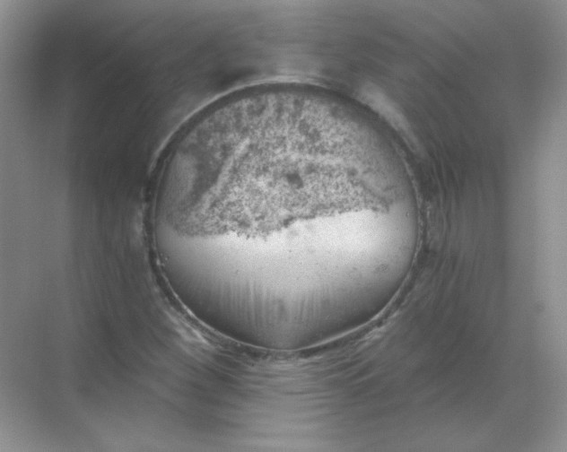 X0000068851260200605191942