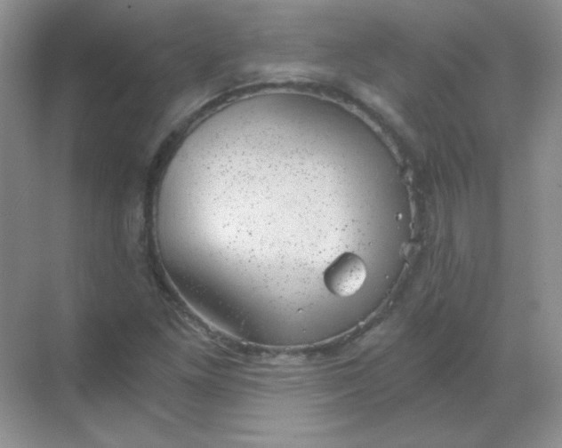 X0000068851261200605191942