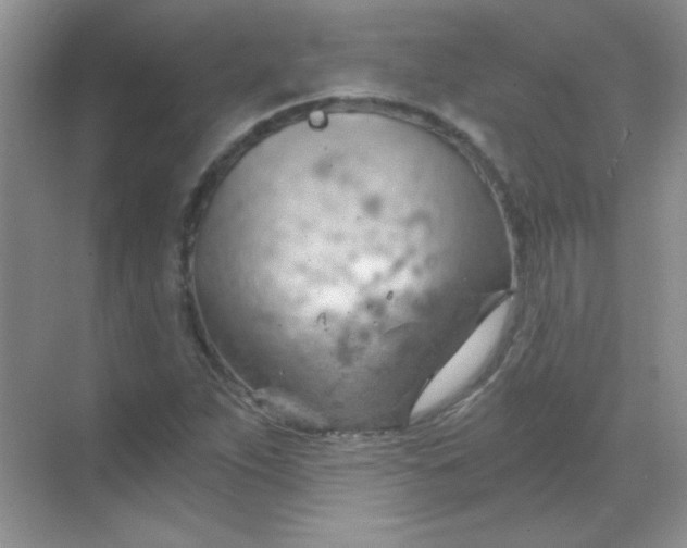 X0000068851263200605191942