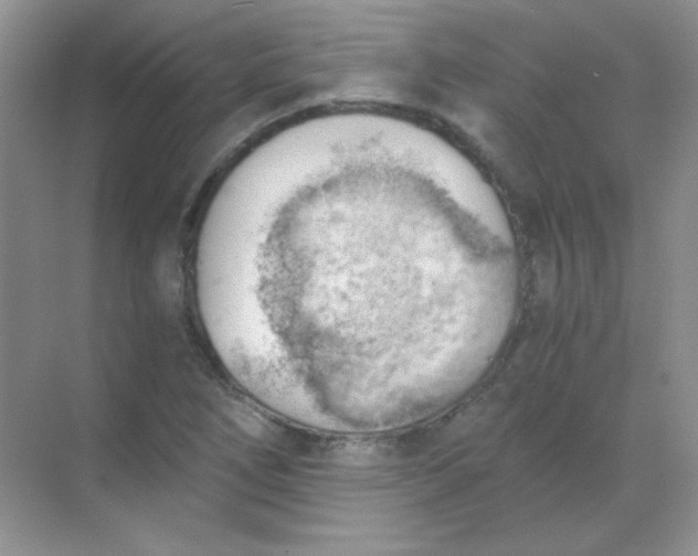 X0000068851266200605191942