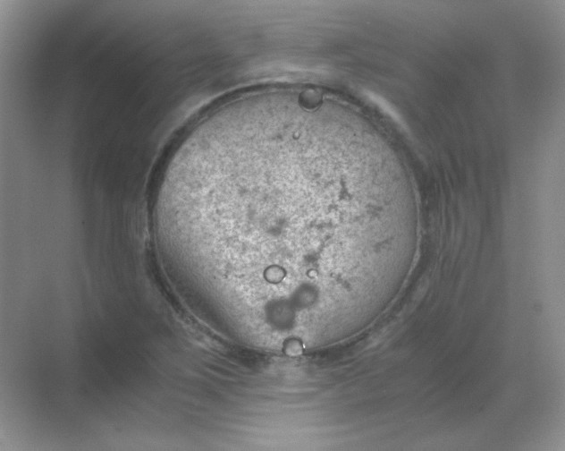 X0000068851267200605191942