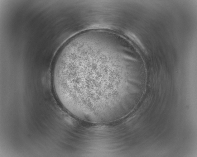 X0000068851268200605191942