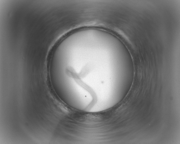 X0000068851270200605191942