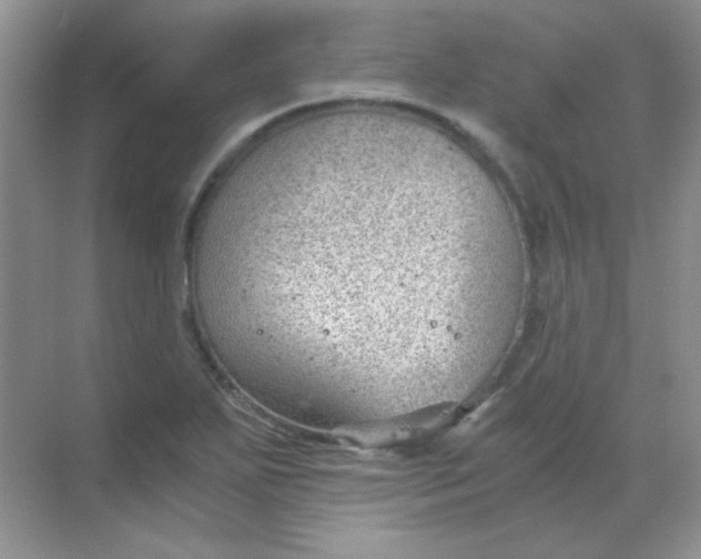 X0000068851271200605191942