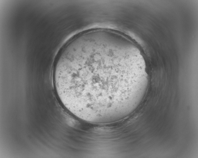 X0000068851272200605191942