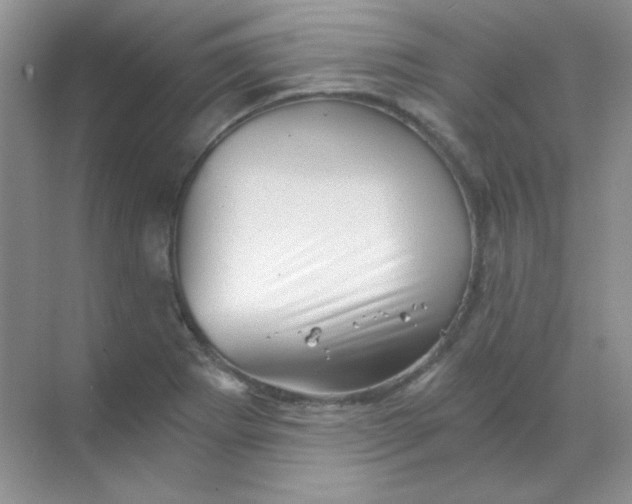 X0000068851273200605191942