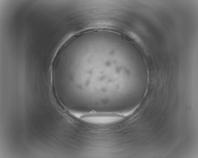 X0000068851275200605191942