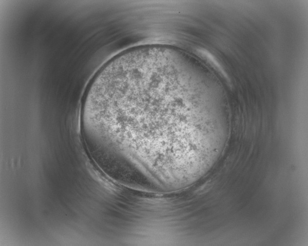 X0000068851276200605191942