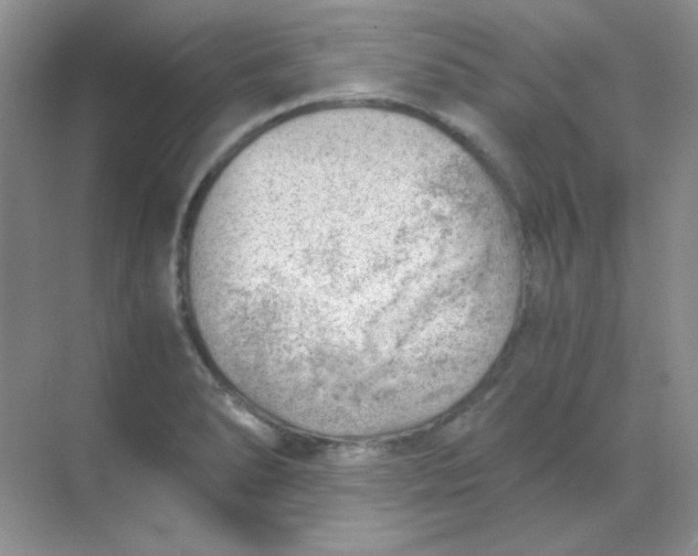 X0000068851278200605191942