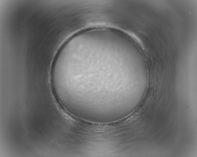 X0000068851279200605191942