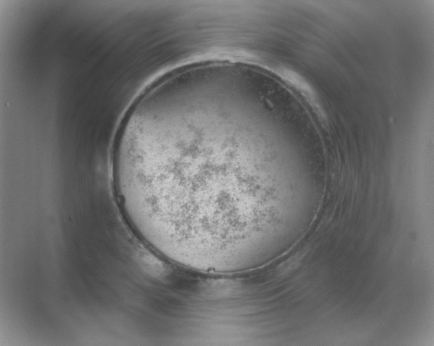 X0000068851280200605191942