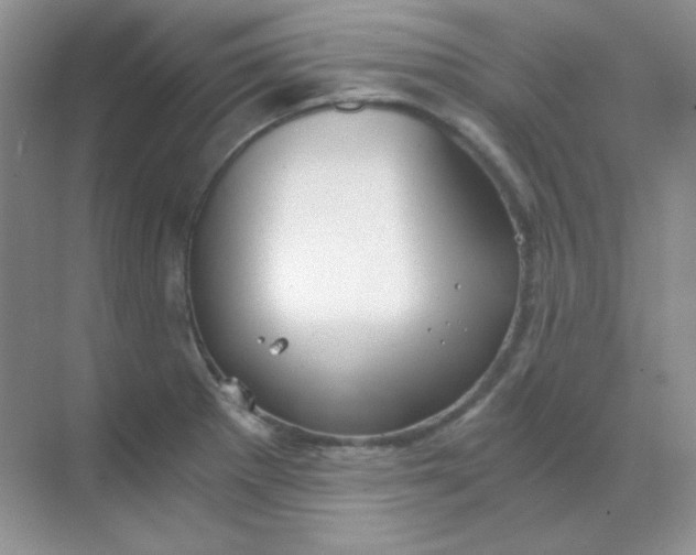 X0000068851281200605191942