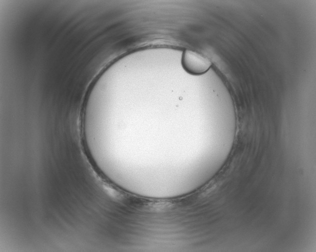 X0000068851282200605191942