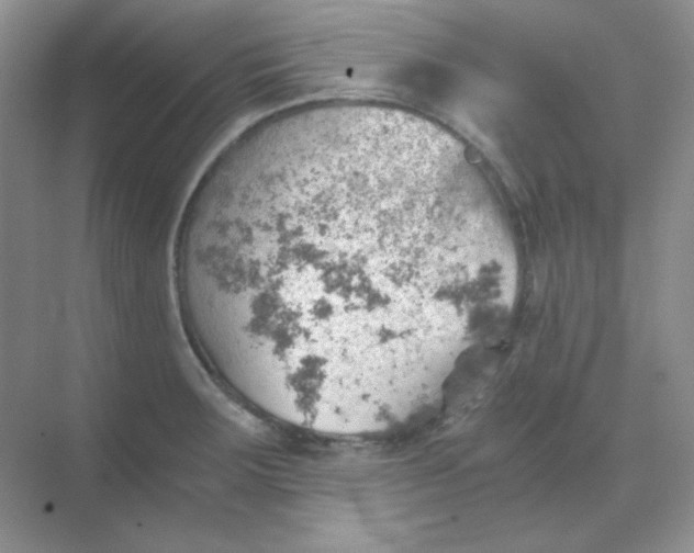 X0000068851283200605191942