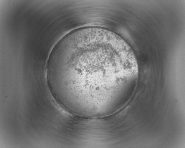 X0000068851284200605191942