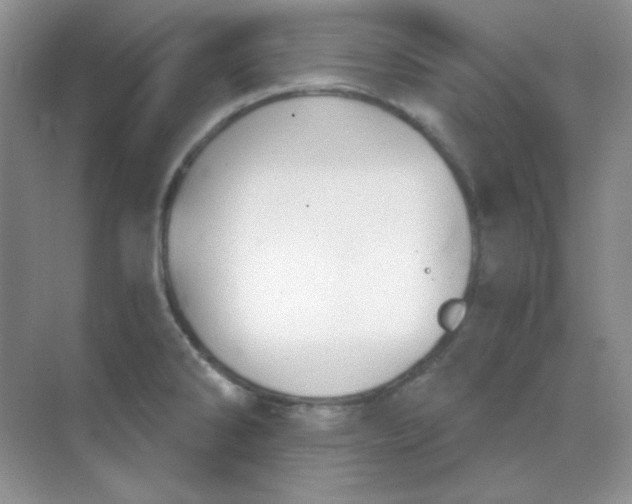 X0000068851286200605191942