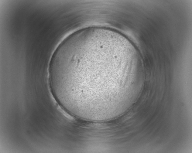 X0000068851287200605191942