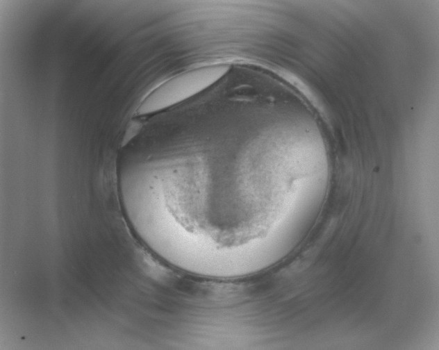 X0000068851289200605191942