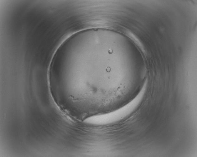 X0000068851291200605191942