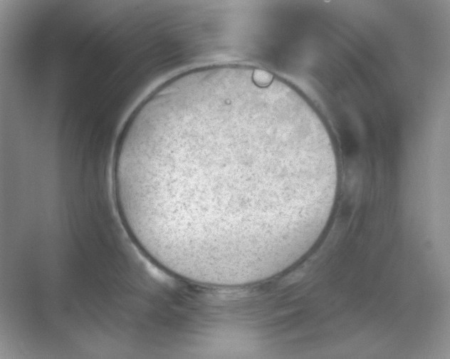 X0000068851294200605191941