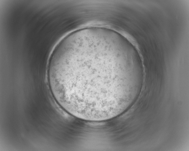 X0000068851296200605191941