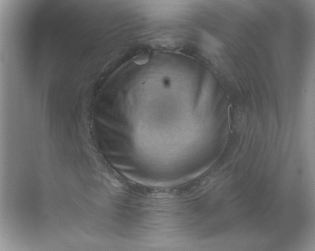 X0000068851297200605191941