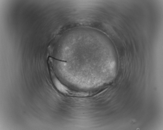 X0000068851298200605191941