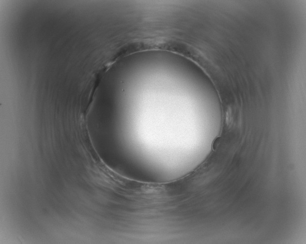 X0000068851299200605191941