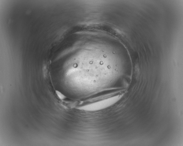 X0000068851300200605191941