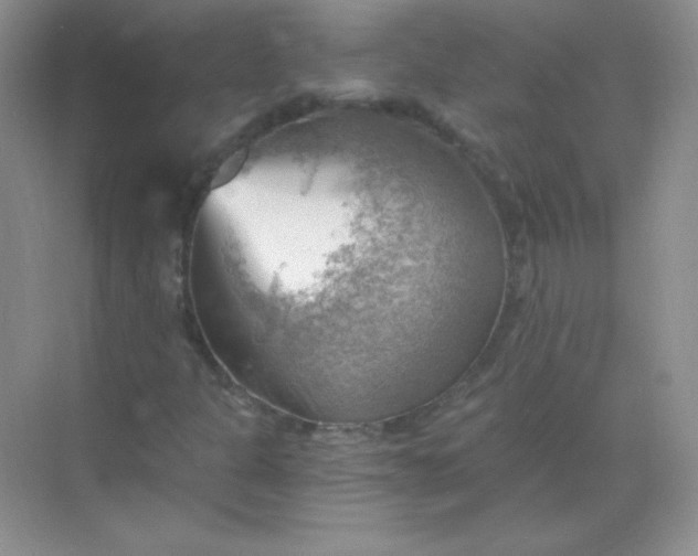 X0000068851301200605191941