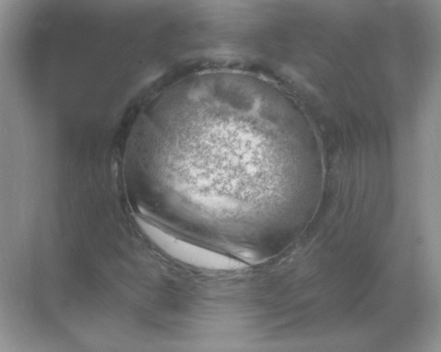 X0000068851302200605191941