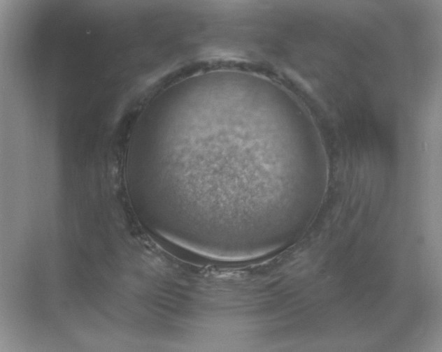 X0000068851303200605191941