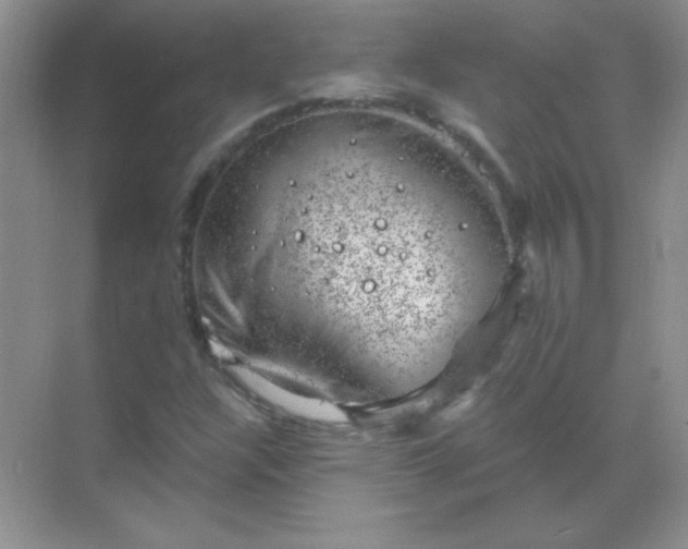 X0000068851304200605191941