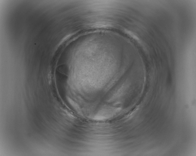 X0000068851306200605191941