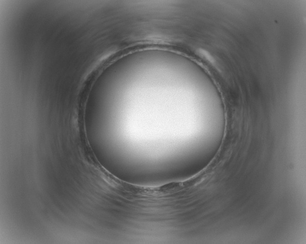 X0000068851307200605191941