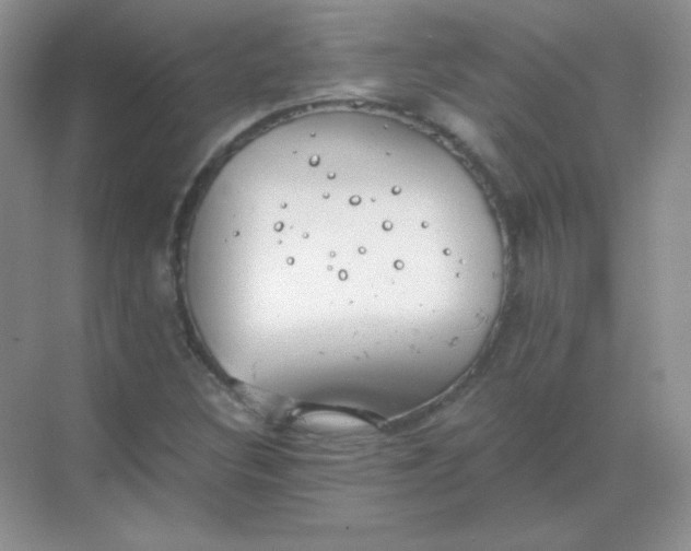 X0000068851308200605191941