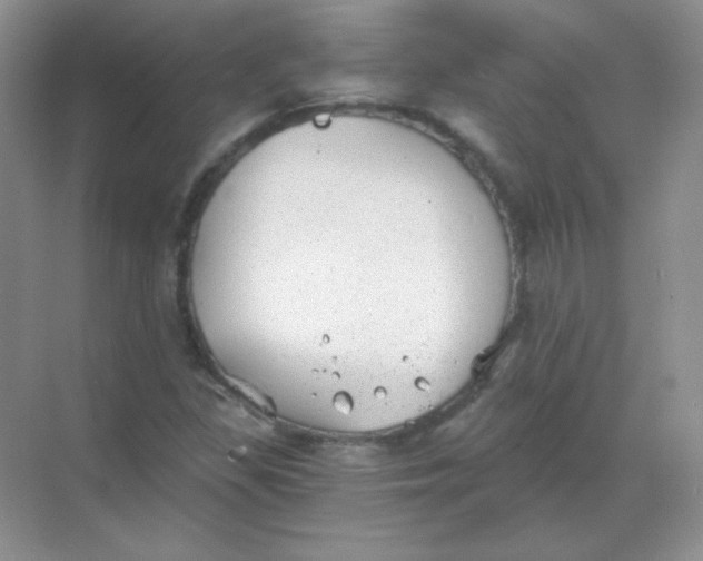 X0000068851309200605191941