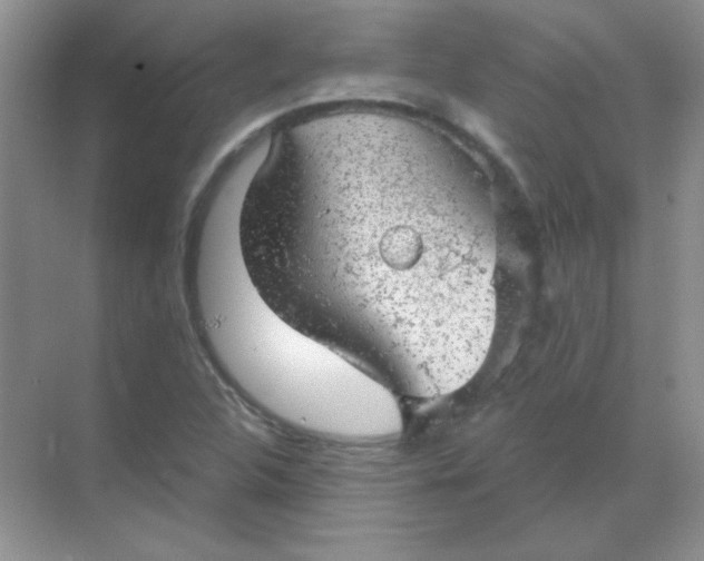 X0000068851312200605191941