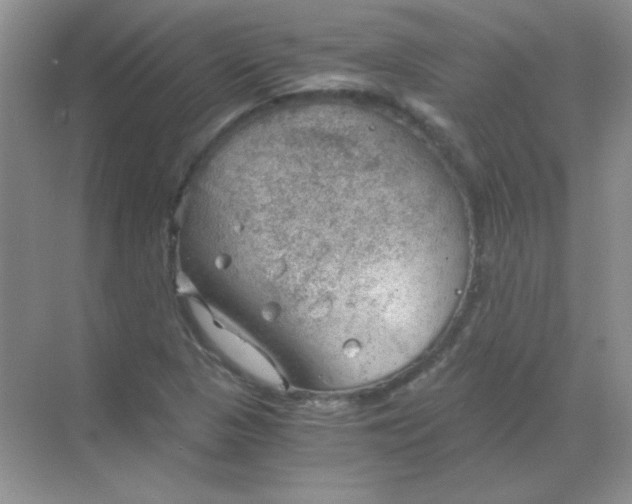 X0000068851313200605191941