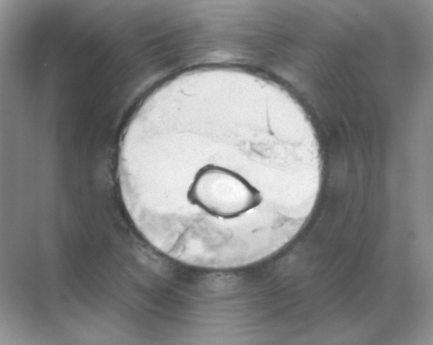 X0000068851314200605191941