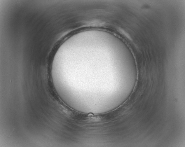 X0000068851315200605191941