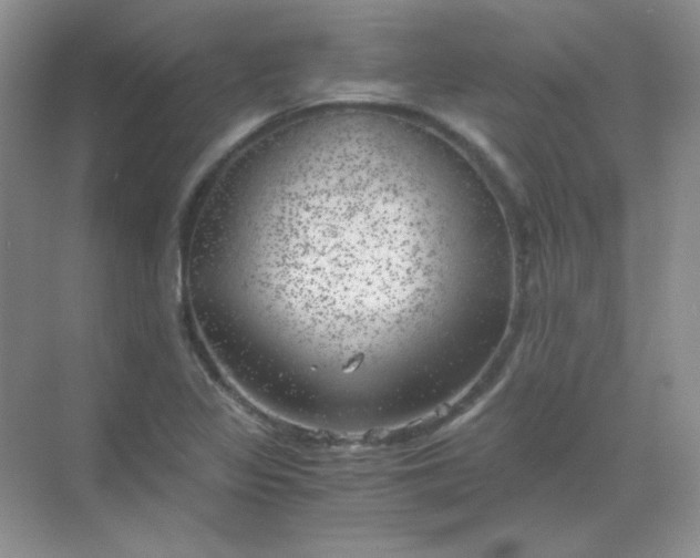 X0000068851317200605191941