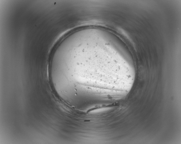 X0000068851320200605191941