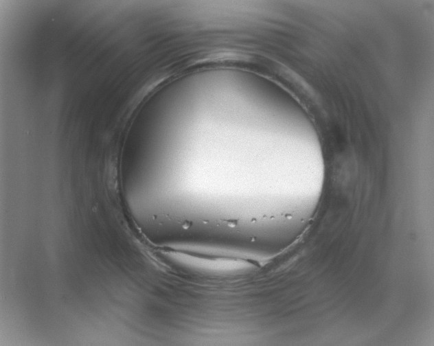 X0000068851321200605191941