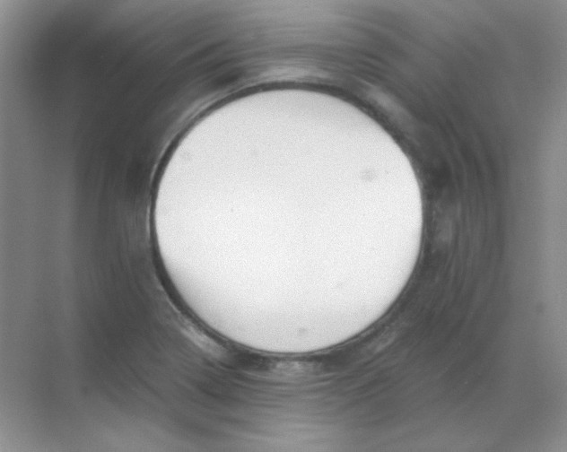 X0000068851322200605191941