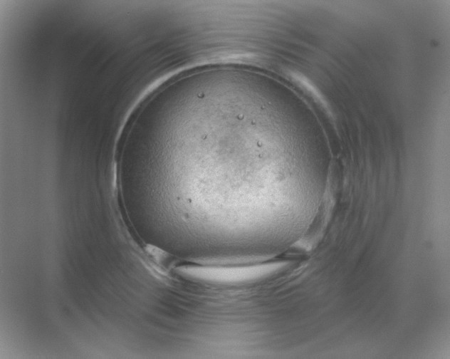 X0000068851324200605191941