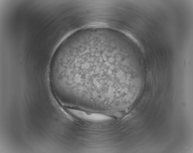 X0000068851325200605191941